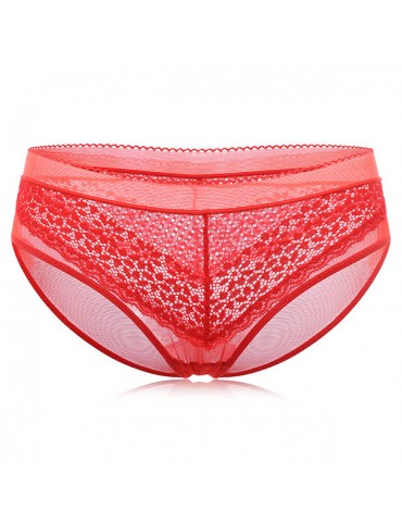 Sexy See Through Mesh Breathable Mid Waist Panties For Women